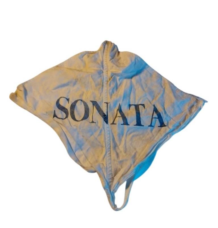 Sonata Clarinet With Carry Case