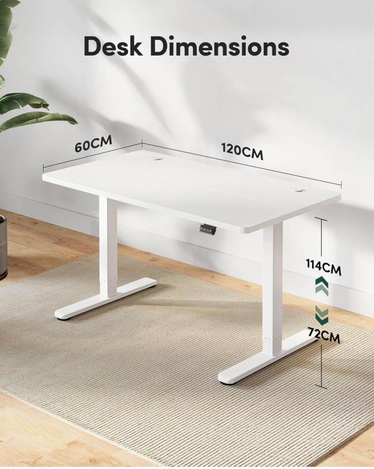 Adjustable Standing Desk – Excellent Condition
