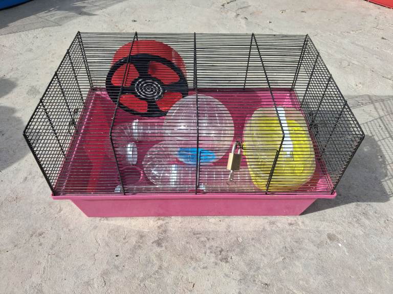 Free hamster cage