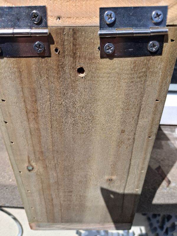 Square bird 🐦 box with opened roof