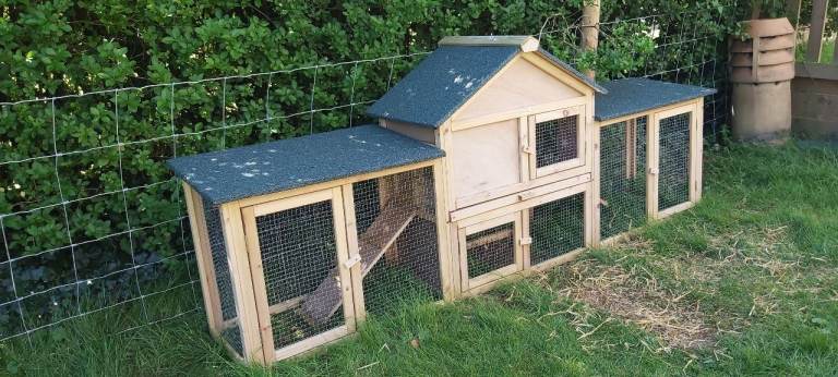 Cute Rabbit Hutch 