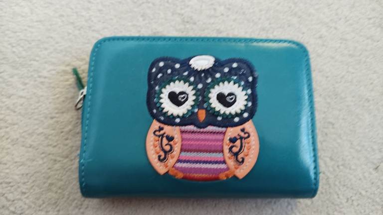 Turquoise purse with owl motif on front