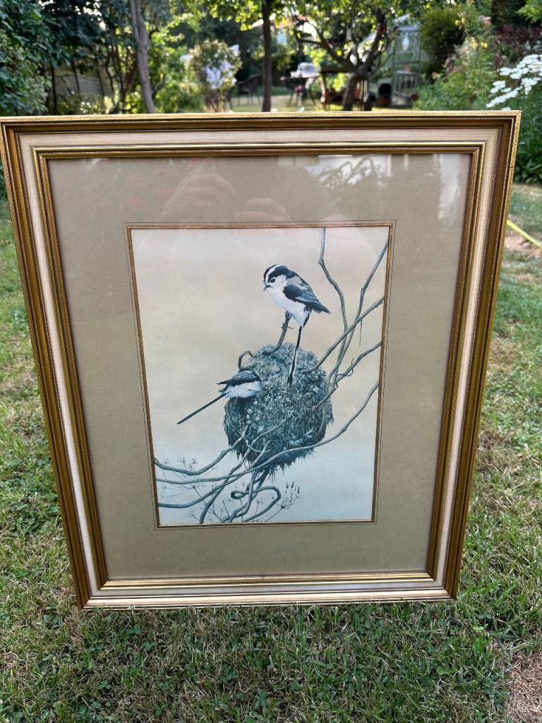 Large Vintage Framed Long‑Tailed Tits Bird Print