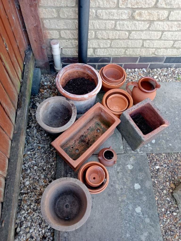 Terracotta garden plant pots 