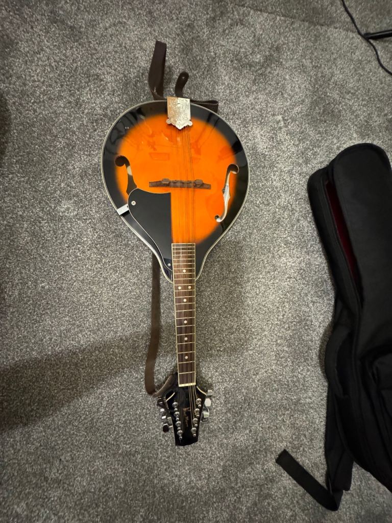 Blue Moon BM 07 mandolin 