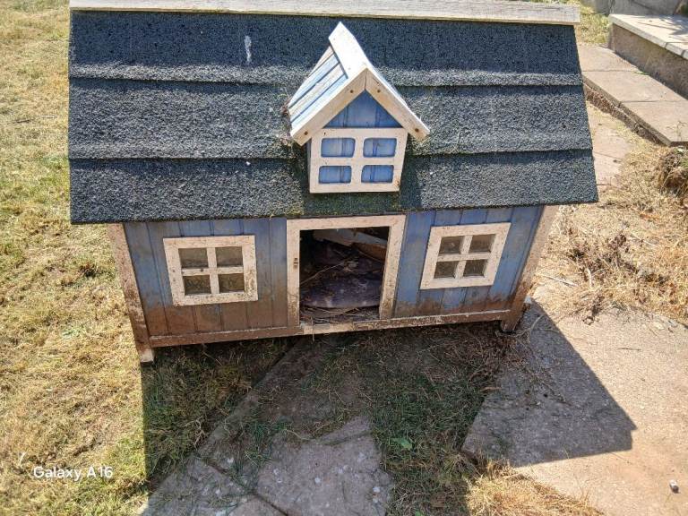 chicken coop 