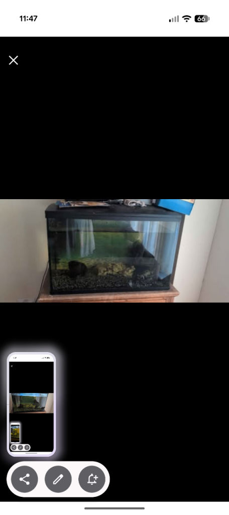Glass Fish Tank with Filter and Heater