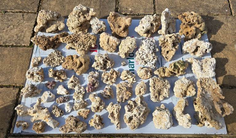 Dry Ocean rock for marine tanks 