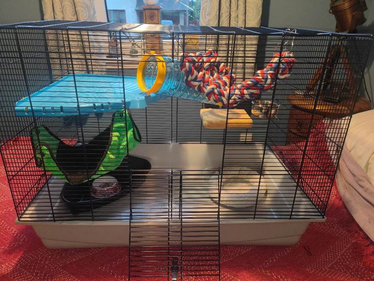 Rat, rodent or chinchilla enclosure