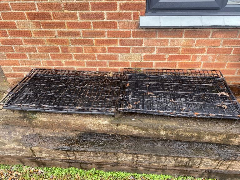 Free 2 medium dog crates 