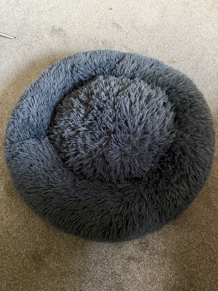 Dog 'donut' bed