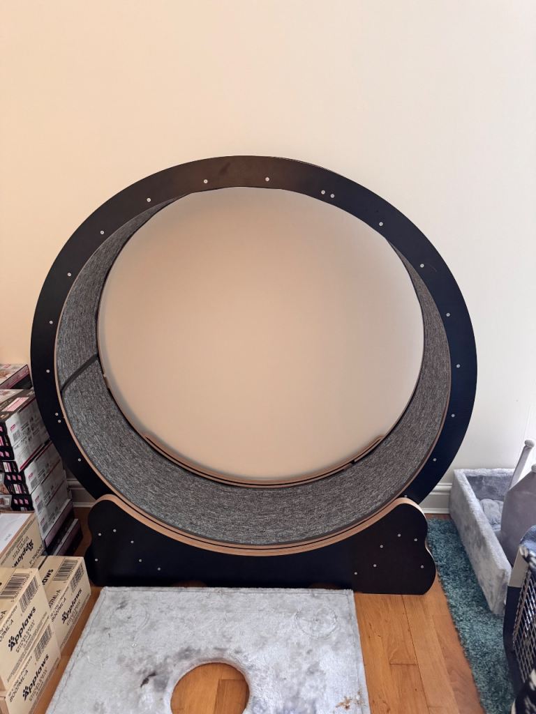 Cat wheel - FREE- pick up only