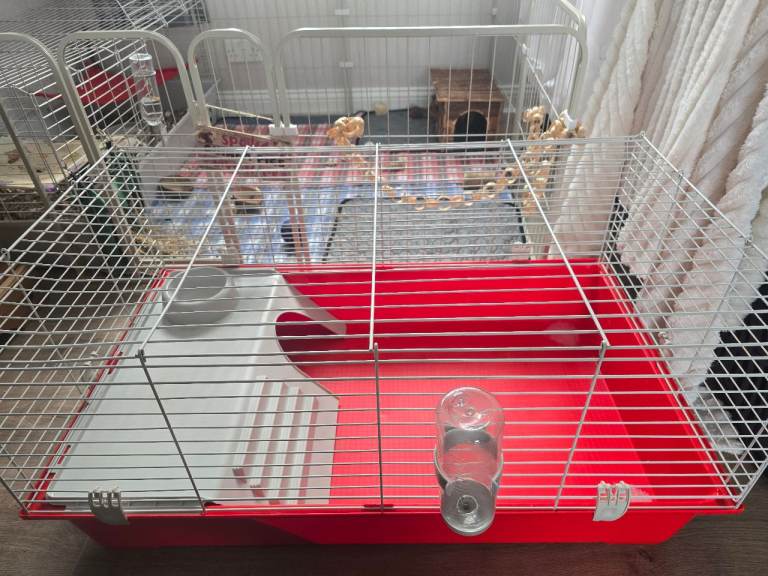 Rabbit/guinea pig cage