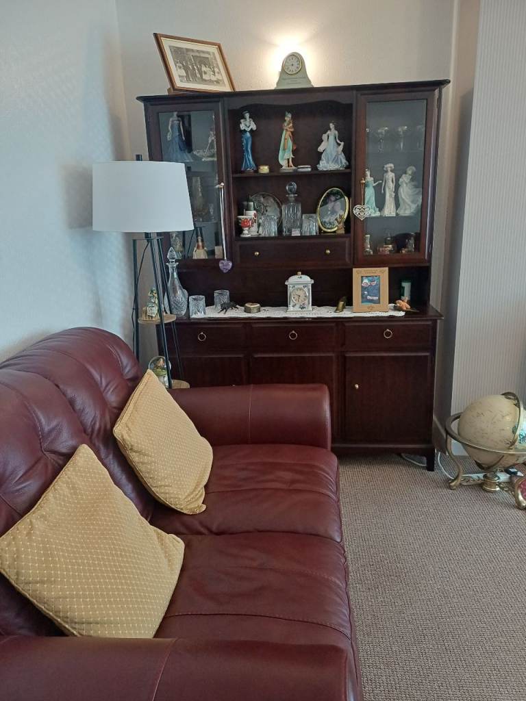 Free Stag minstrel display unit to collect 