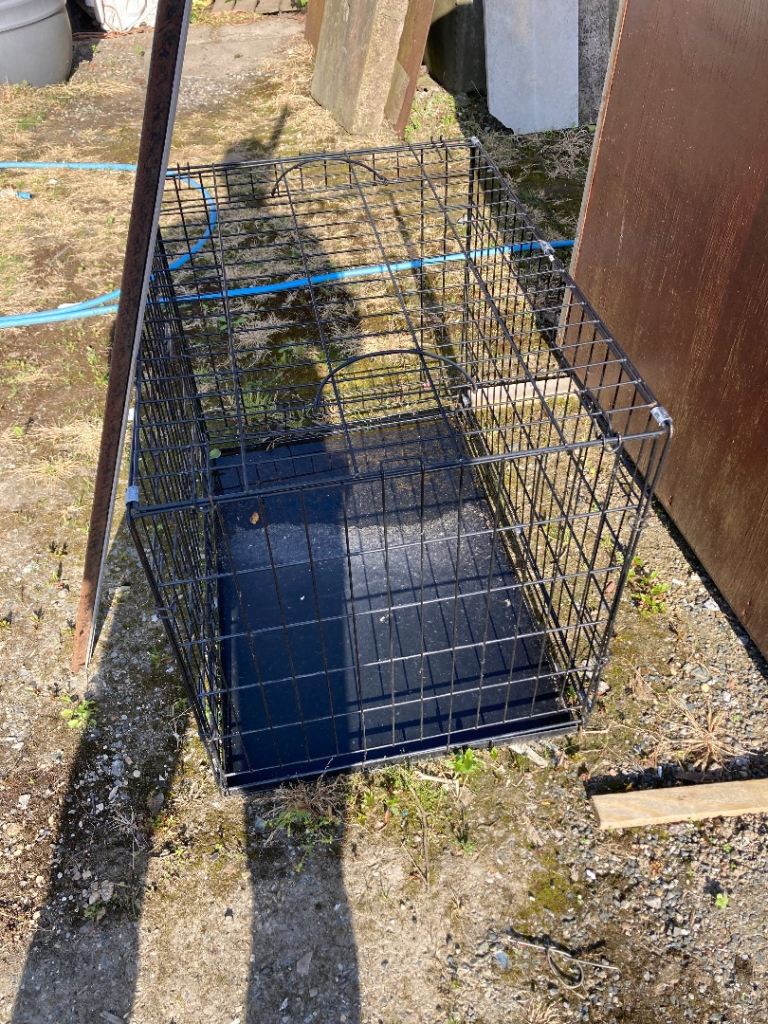 Dog crate 