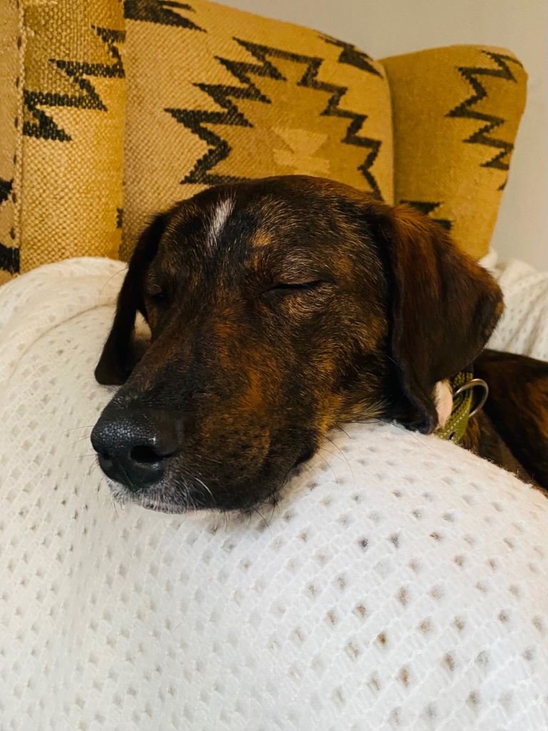 MT Jones concert tickets (sold out)