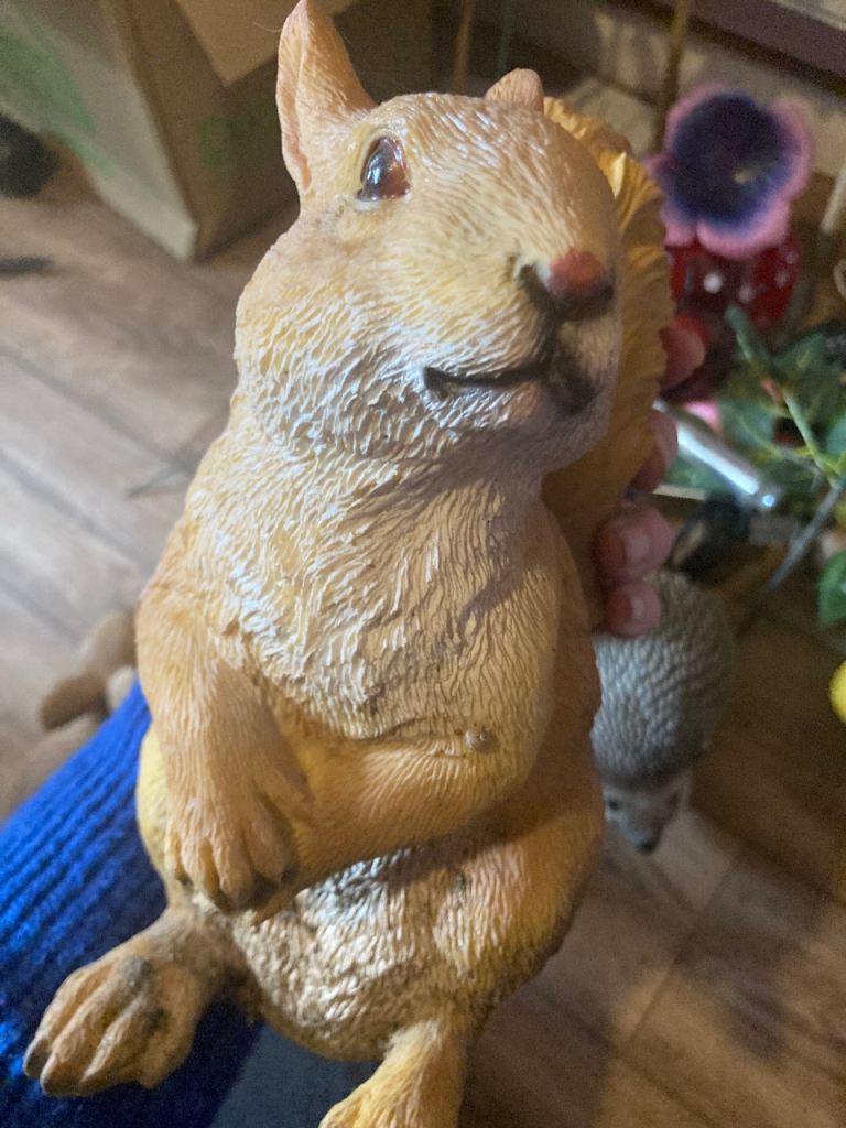 Not had long all garden animals fiver each solar lights pound each 