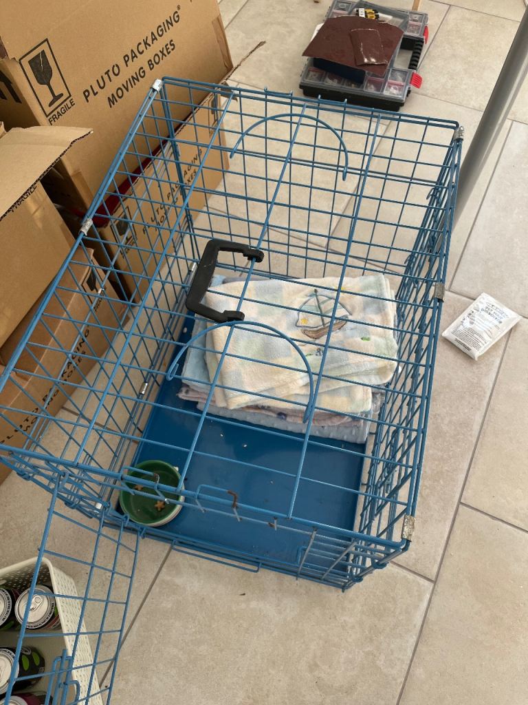 Free small dog crate