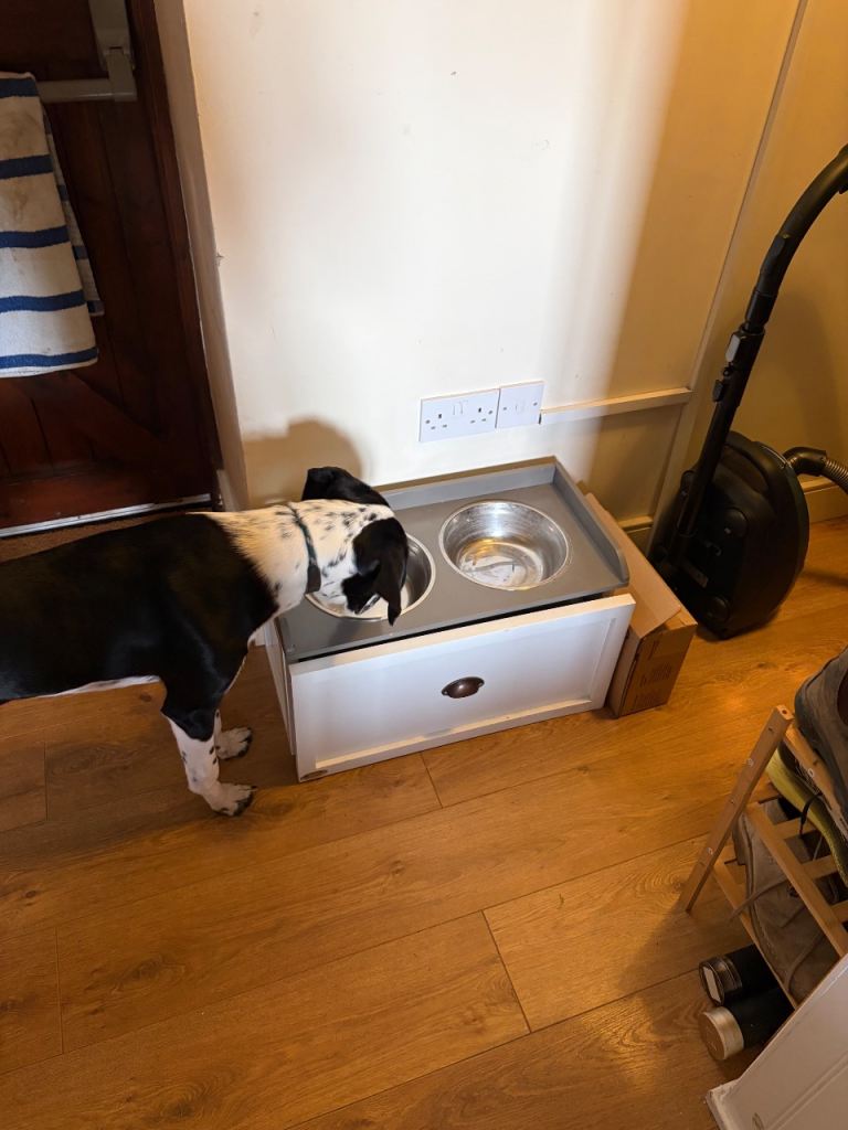 Dog bowl food and water feeding stand with drawer