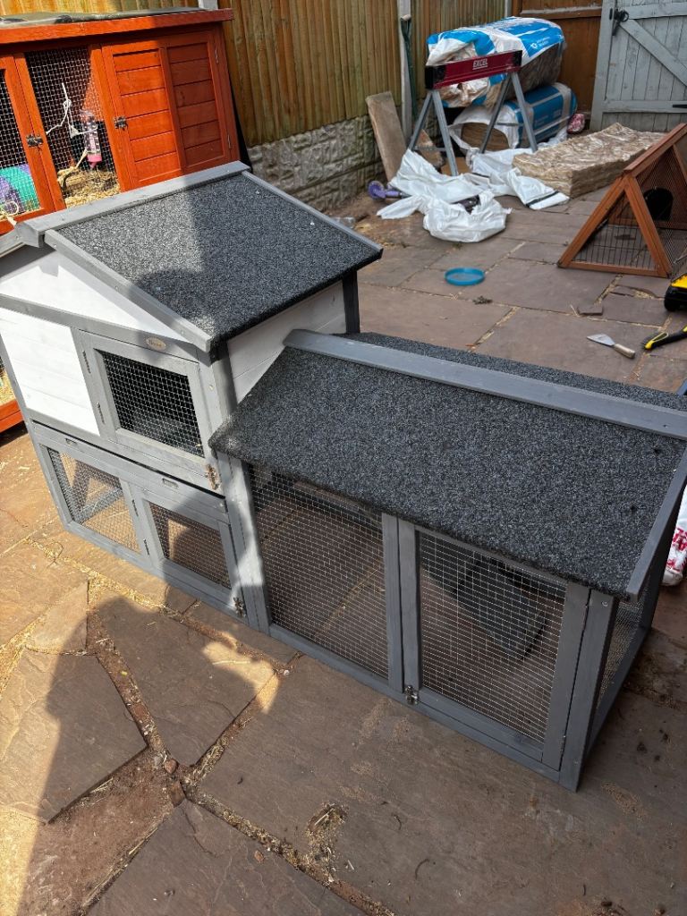 Guinea Pig hutch