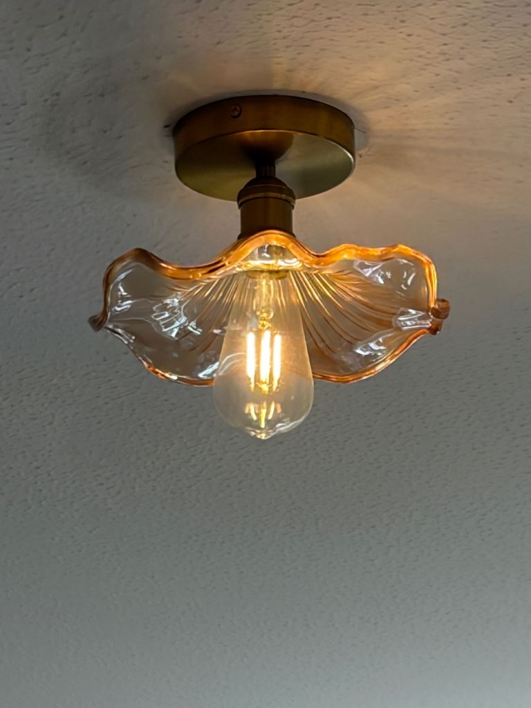 Hibiscus ceiling light