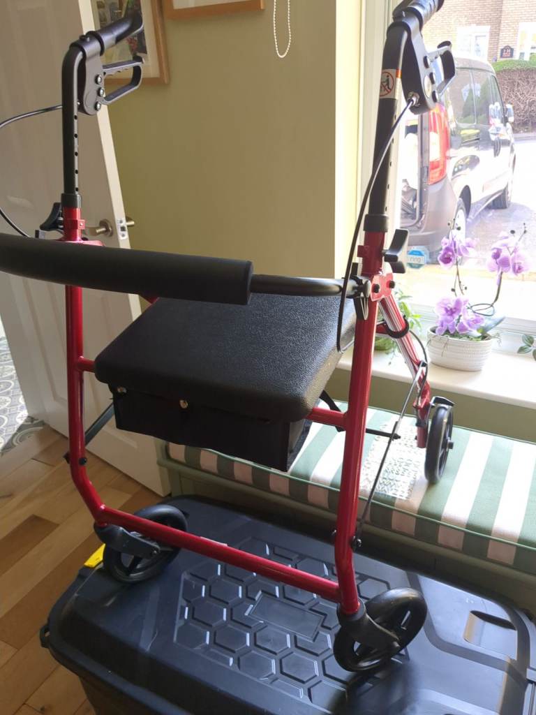 Mobility walking aid 
