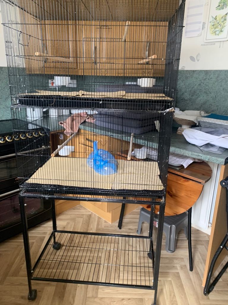 Bird cage with stand