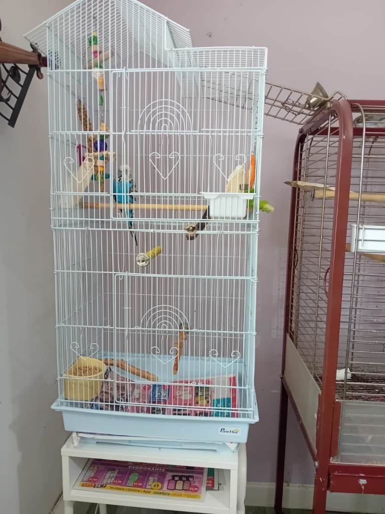 Cage
