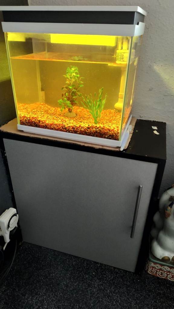 Modern Fish tank