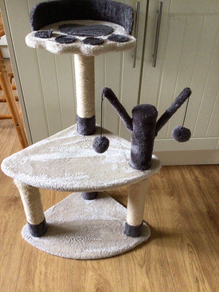 Cat Activity Tree.
