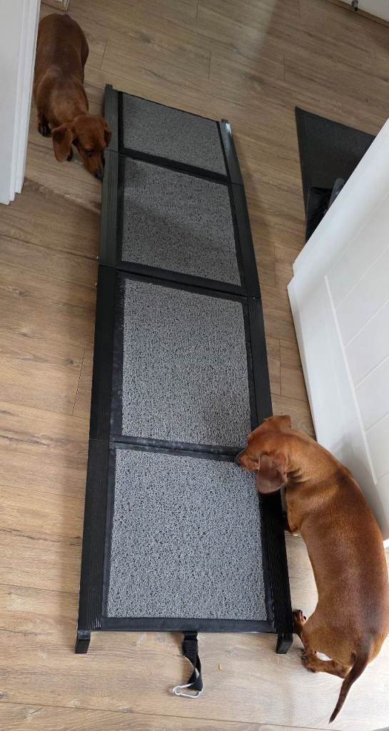 Dog car ramp