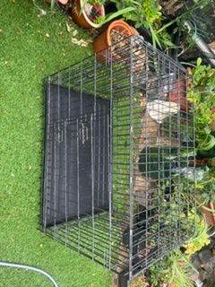 Dark silver metal dog cage