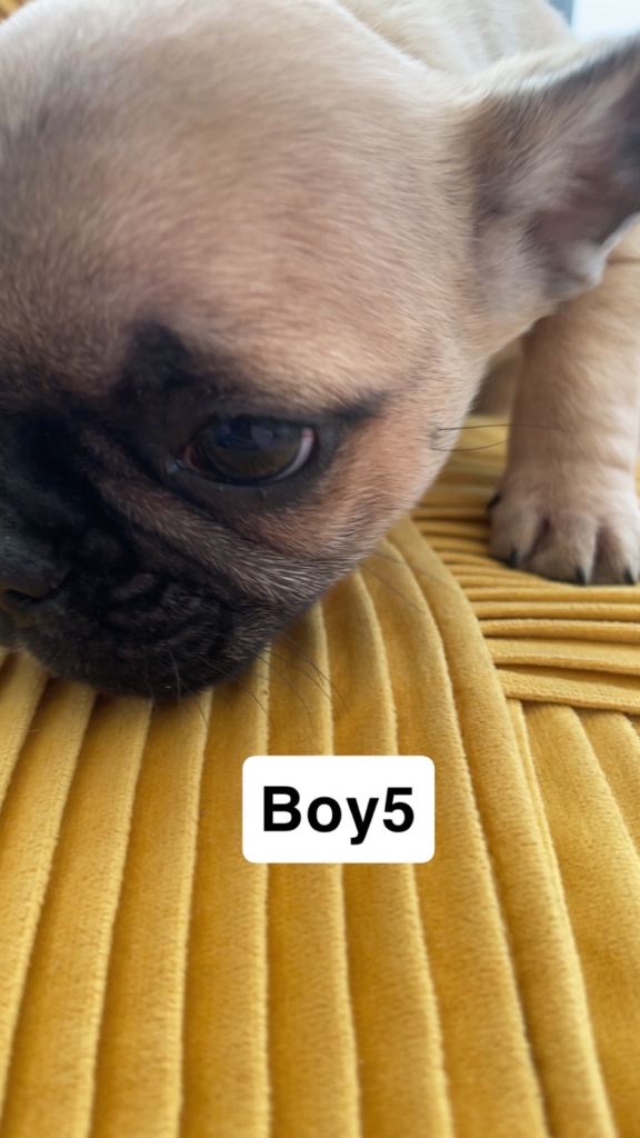 Ready now for there 4ever homes 