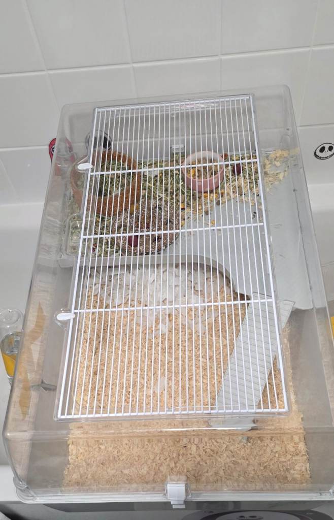 Hamster/mouse cage