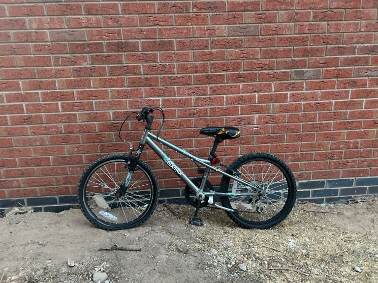 Apollo Kids Mountain Bike