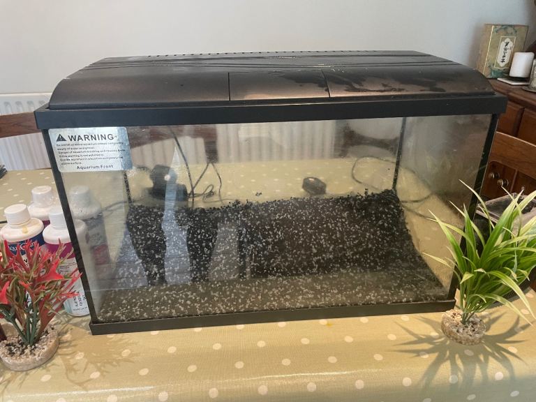 Fish tank with accessories 