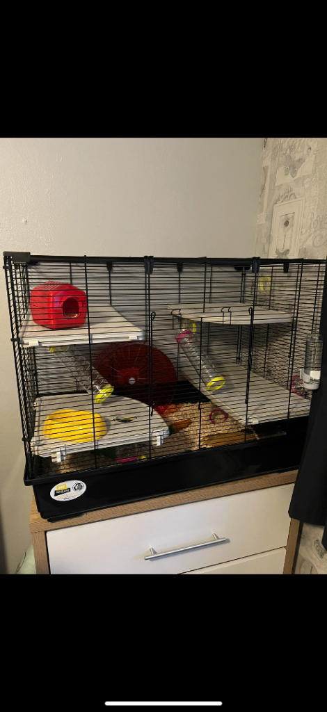 Syrian Hamster Cage