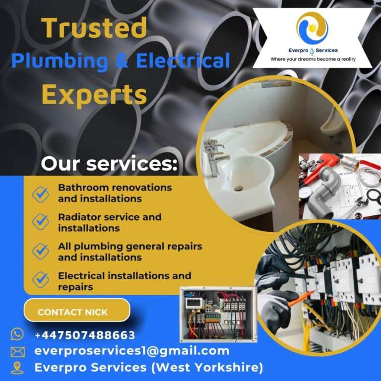 Professional plumbing and electrical services