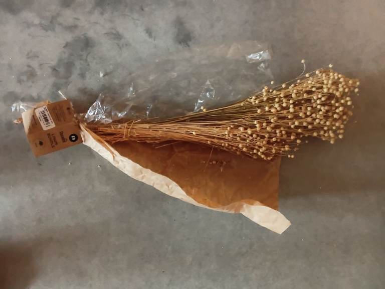 Dried Flax Seed Stems for Decoration – New