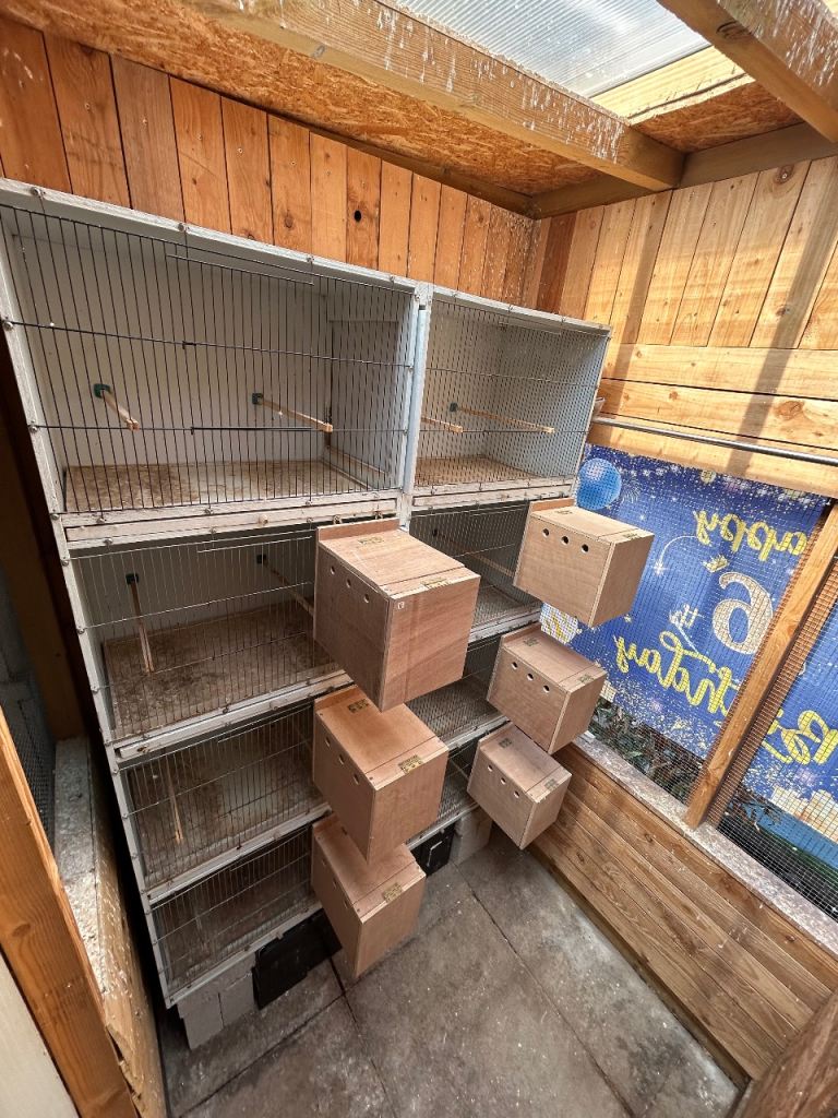 Block of Breeding cages 