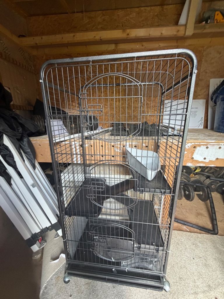 Rat cage 