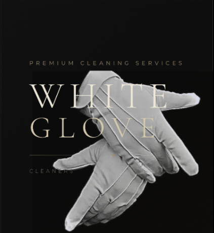 CLEANER / CLEANING SERVICES - DOMESTIC & HOUSE CLEANERS - PROFESSIONAL AND RELIABLE 