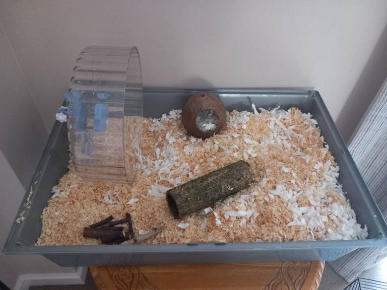 Hamster Cage and Accessories