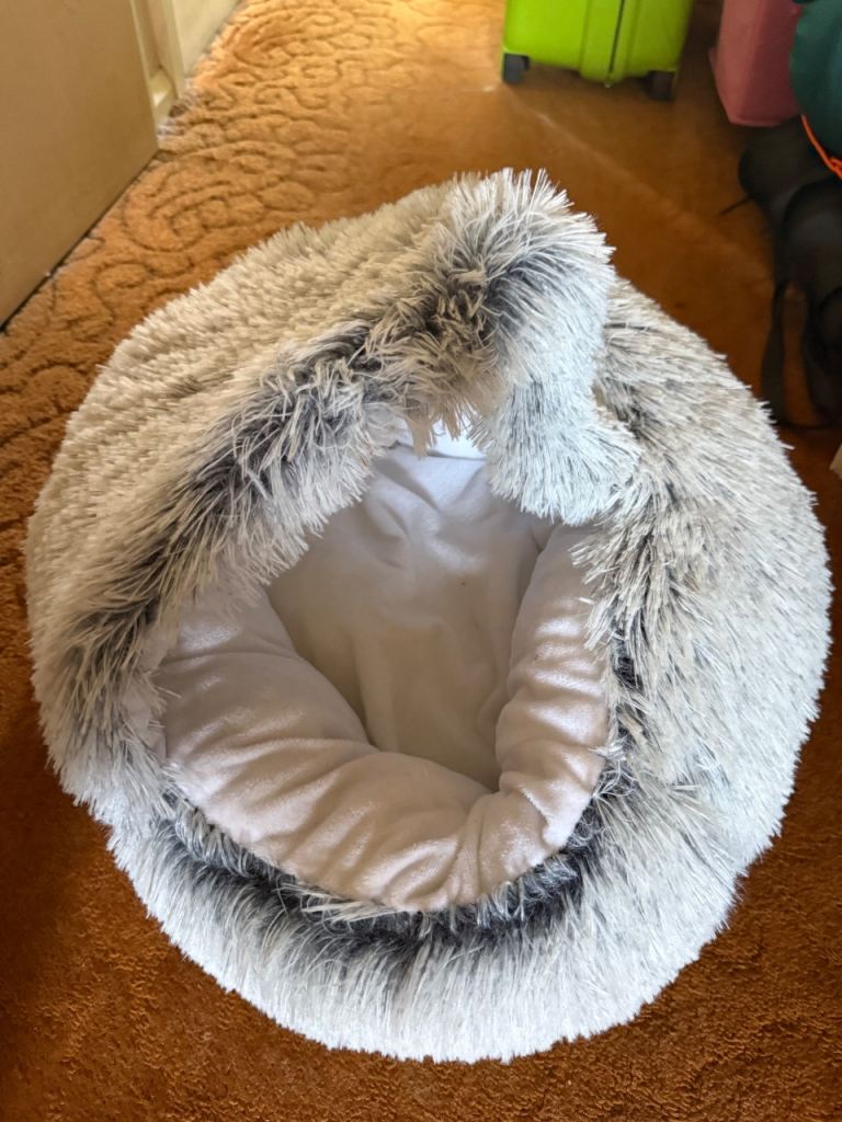 Free cat bed