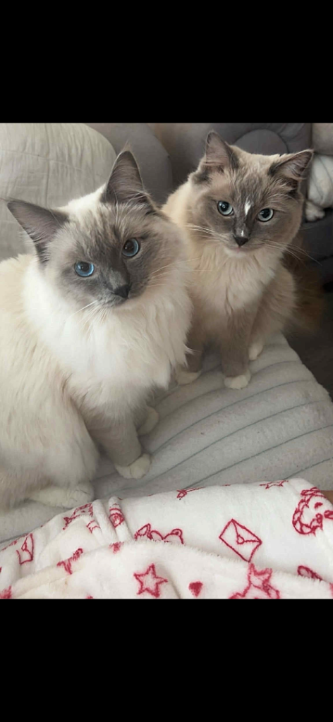 Male and female