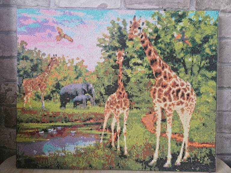 2pk White Tiger and Giraffe diamond Art canvas 
