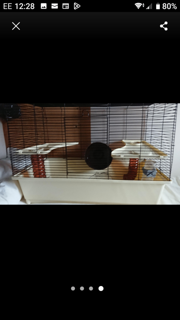 Large hamster cage plus accessories 
