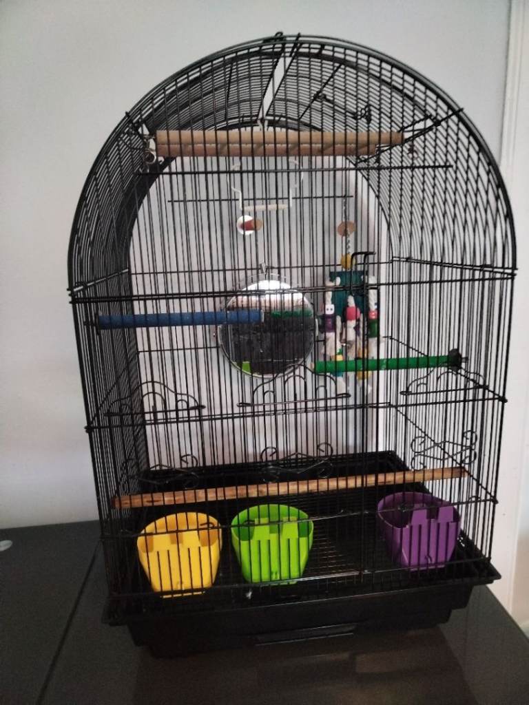 Bird cage 