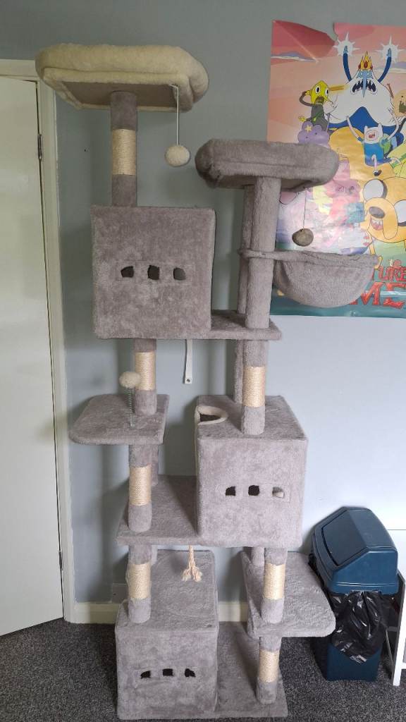 CAT TREE 🌳 