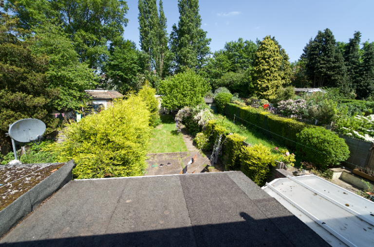 Entire 3 bed house to rent